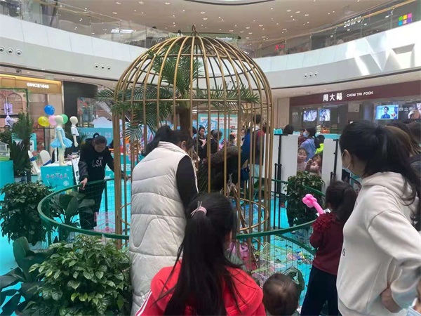 百鸟展览