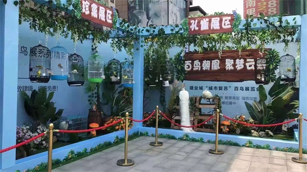 百鸟展览