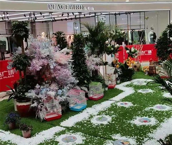 百鸟展览