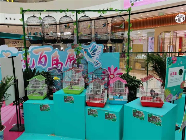 百鸟展览