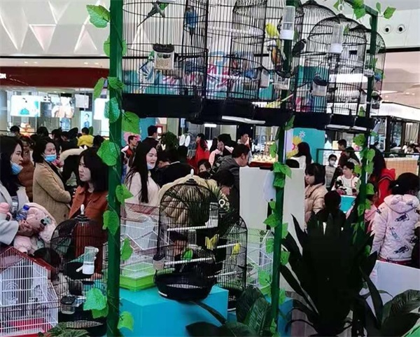 百鸟展览