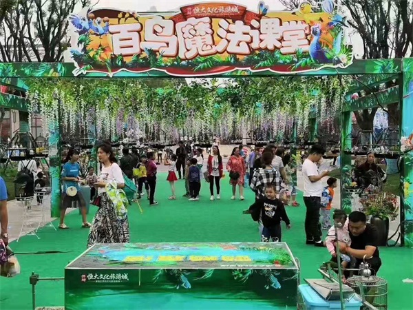 百鸟展览