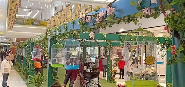 百鸟展览
