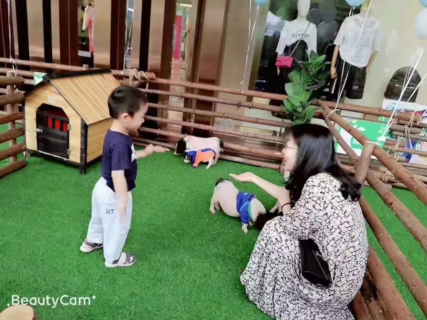 111.jpg