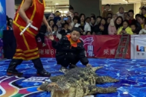 鳄鱼表演