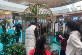 百鸟展览