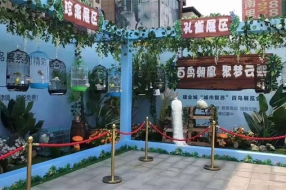 百鸟展览