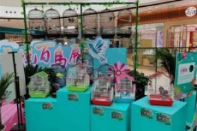 百鸟展览