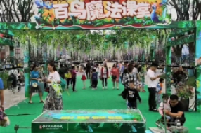 百鸟展览