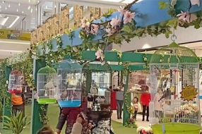 百鸟展览