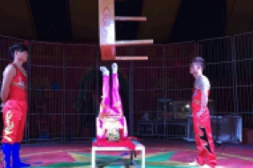 杂技表演